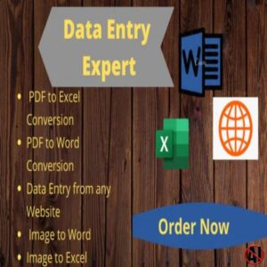 data entry expert